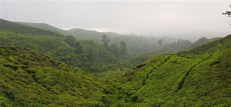 BOGOR MUGI TOUR (2026) All You Need to Know BEFORE You Go (with Photos ...