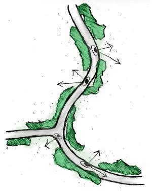 ZooLex Workshop Zoo Design