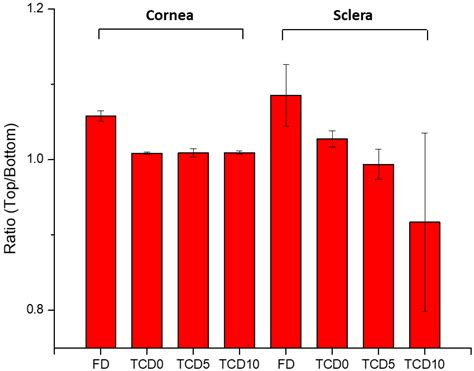 Formulation and Characterization of Epalrestat-Loaded Polysorbate 60 ...