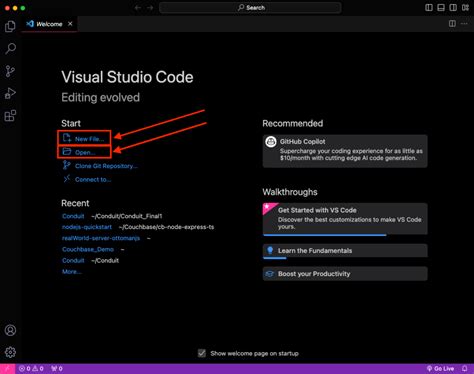 Image result for Freecodecamp Code Editor