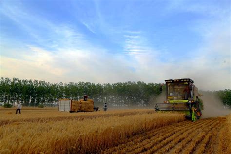 2020年河南小麦机收工作基本结束_农机通讯社