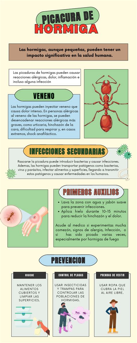 PIcadura de Hormiga - PICACURA DEPICACURA DE PRIMEROS AUXILIOSPRIMEROS ...