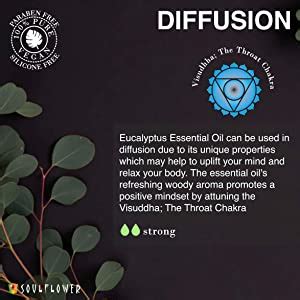 Soulflower Eucalyptus Essential Oil for Hair Growth, Steam Inhalation ...