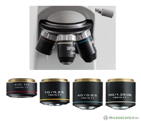 Microscope Labeled Parts 的图像结果