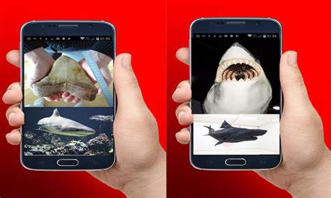 shark images - App on Amazon Appstore