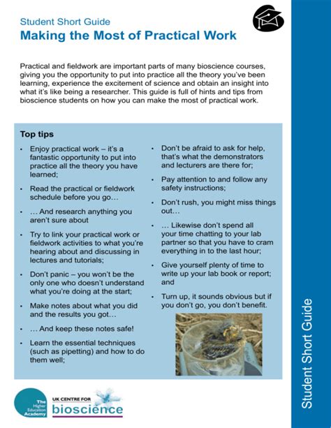 Image result for Practical Work Example for Student