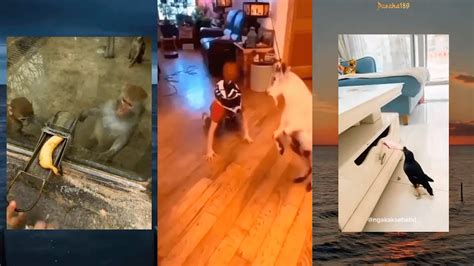 Fail 的图像结果