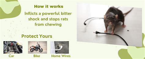 URBA Rat Repellent Spray For Car, Eco Friendly Rat Repellent Spray for ...