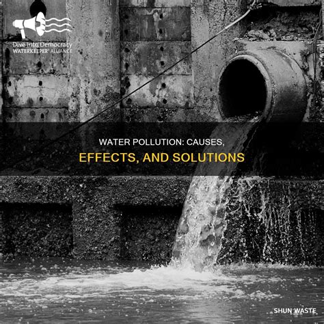 Water Pollution: Causes, Effects, And Solutions | ShunWaste