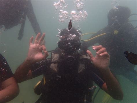 Scuba Diving at North Bay Island
