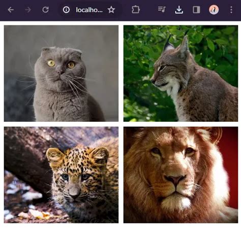 HTML5 Video Gallery 的图像结果