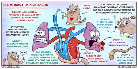 Pulmonary Hypertension