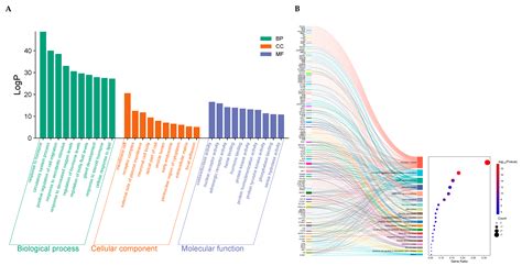 Bioactive Constituents and Antihypertensive Mechanisms of Zhengan ...