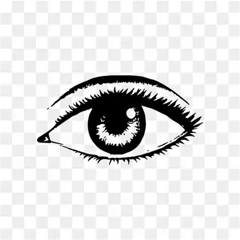 Joe biden American politician transparent png