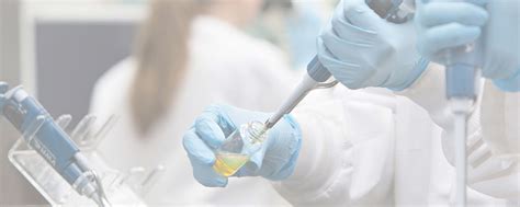 Biomedical Engineering Journal 的图像结果