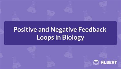 Image result for Positive Feedback Loop Example