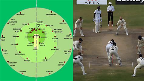 Cricket Fielding Positions - Different Names & Roles Explained