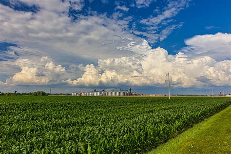 Russia Pulls Out of Ukraine Grain Deal. Here's What This Means - The Wire