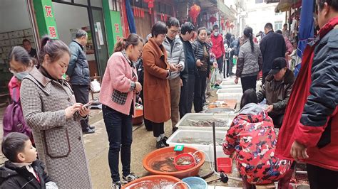 實拍廣西柳州江口鄉，這裏賣魚的生意是真的好，匯集兩鎮人口，每到趕集日超級熱鬧