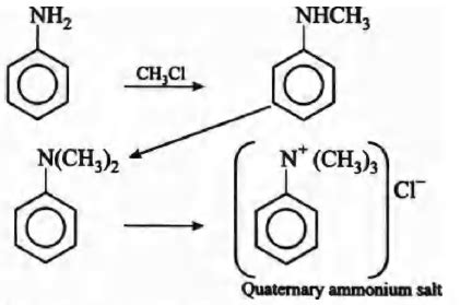 Aniline reacts with alkyl halide to give - Tardigrade