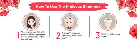 Buy Orgello Hibiscus Shampoo For Hair Growth | Anti Dandruff Shampoo ...