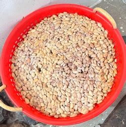 Post Harvest Technology | Kerala Agricultural University