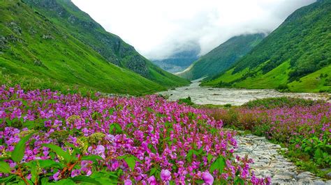 Chandigarh to Valley of Flowers taxi