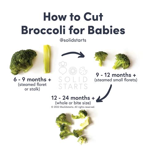 Can Baby Eat Broccoli at Annabelle Focken blog