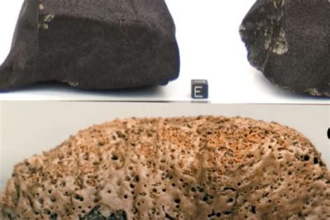 Image result for Meteorite Hunting