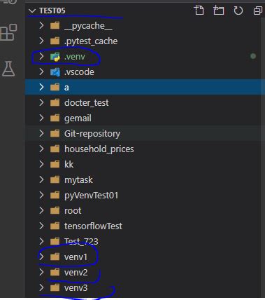 vs Code Python Create Virtual Environment 的图像结果