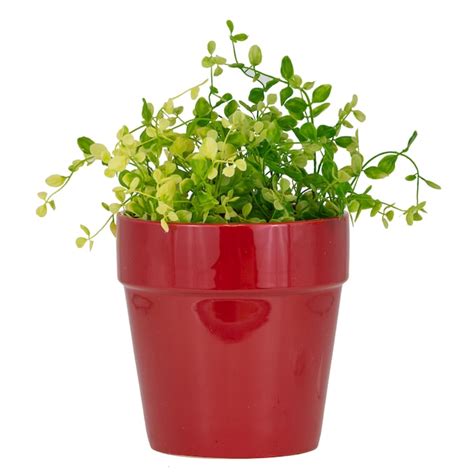 Trendspot Round 6.7-in W x 6.85-in H Red Ceramic Indoor Planter in the ...