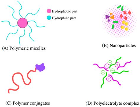 Use of Chitosan-Based Polyelectrolyte Complexes for Its Potential ...