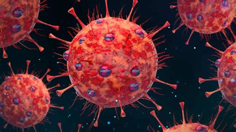 HMPV: హెచ్ఎంపీవీ వైరస్ గురించి నిపుణులు ఏమంటున్నారు.. ఎలాంటి జాగ్రత్తలు ...