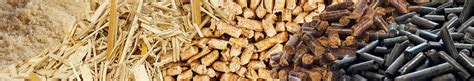 Renewable energy with solid biofuels solutions | ANDRITZ