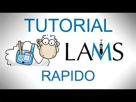 LAMS Tutorial 的图像结果