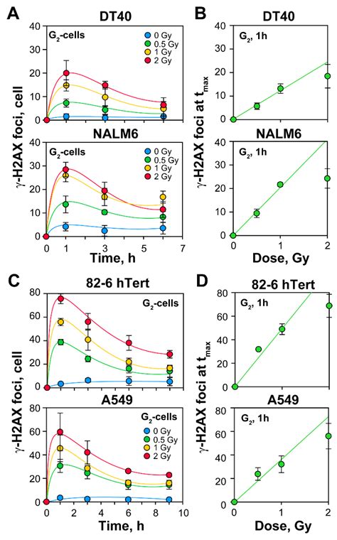 Increased Gene Targeting in Hyper-Recombinogenic LymphoBlastoid Cell ...