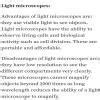 Light transmission advantages and disadvantages - Brainly.in