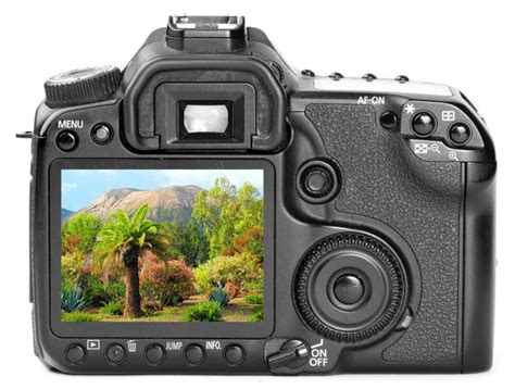 Digital View Camera 的图像结果