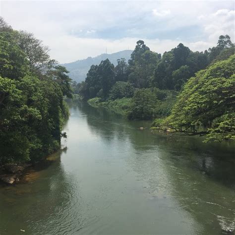 Peradeniya Tourism (2024): All You Need to Know Before You Go
