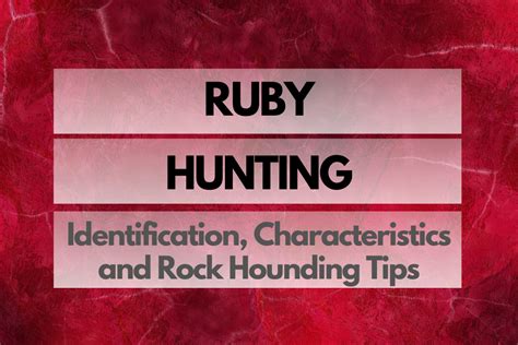 Image result for Ruby Hunting