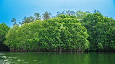 AKSHAY BEACH RESORT (Varkala Town, Kerala) - Hotel Reviews, Photos ...