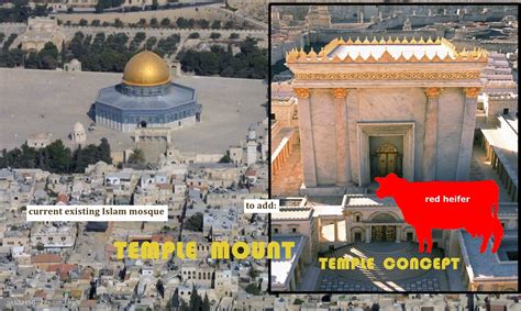 The Third Temple End Of The World: Third Temple Prophecy Is