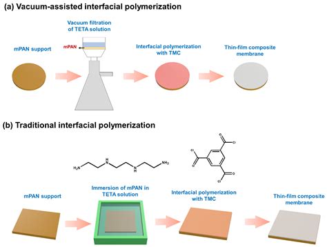 Interfacial Polymerization Process 的图像结果