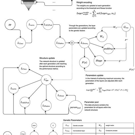 Image result for Genetic Encoding