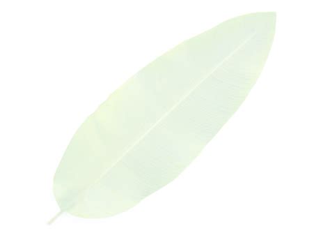 About Us | Beeja Crop Science Private Limited