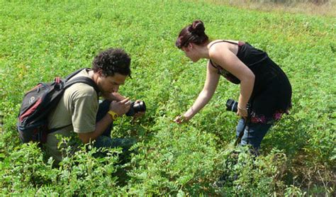 Organic Herbs, Hair Color & Ayurvedic Herbs Supplier - Quality ...