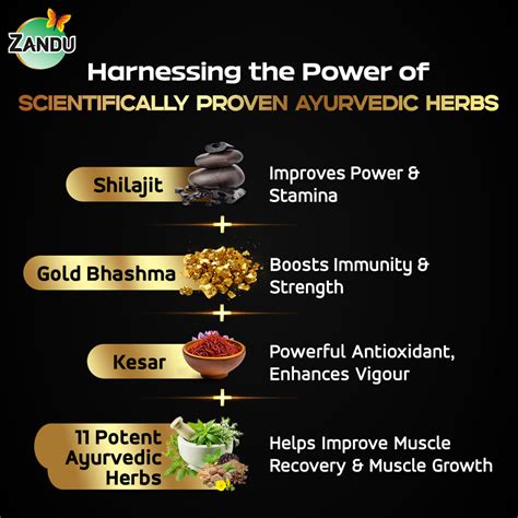 Shilajit Gold Plus Resin | Buy Shilajit Gold Plus Resin for Strength ...