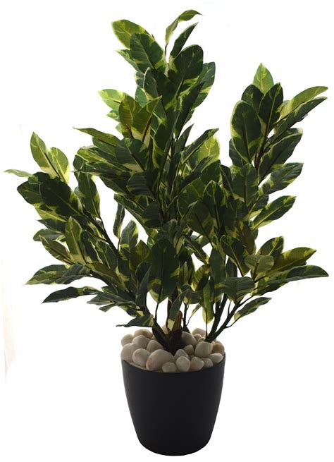 Buy Fourwalls 70cm Tall Artificial Quercus Plant in a PVC Vase (White ...
