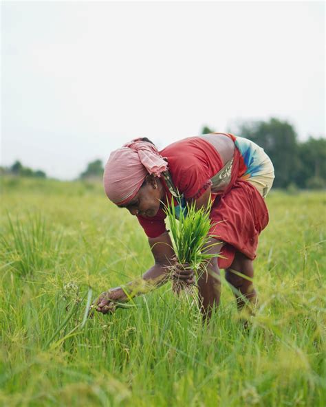 Keeping Promises on Hunger and Climate Change - Bread for the World
