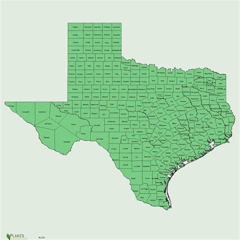 Image result for Texas Exploding Heart Quilt Block Pattern